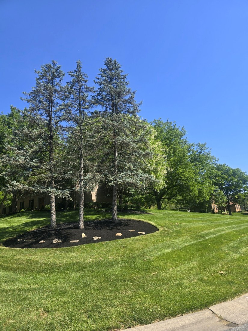 Lawn maintenance and edging