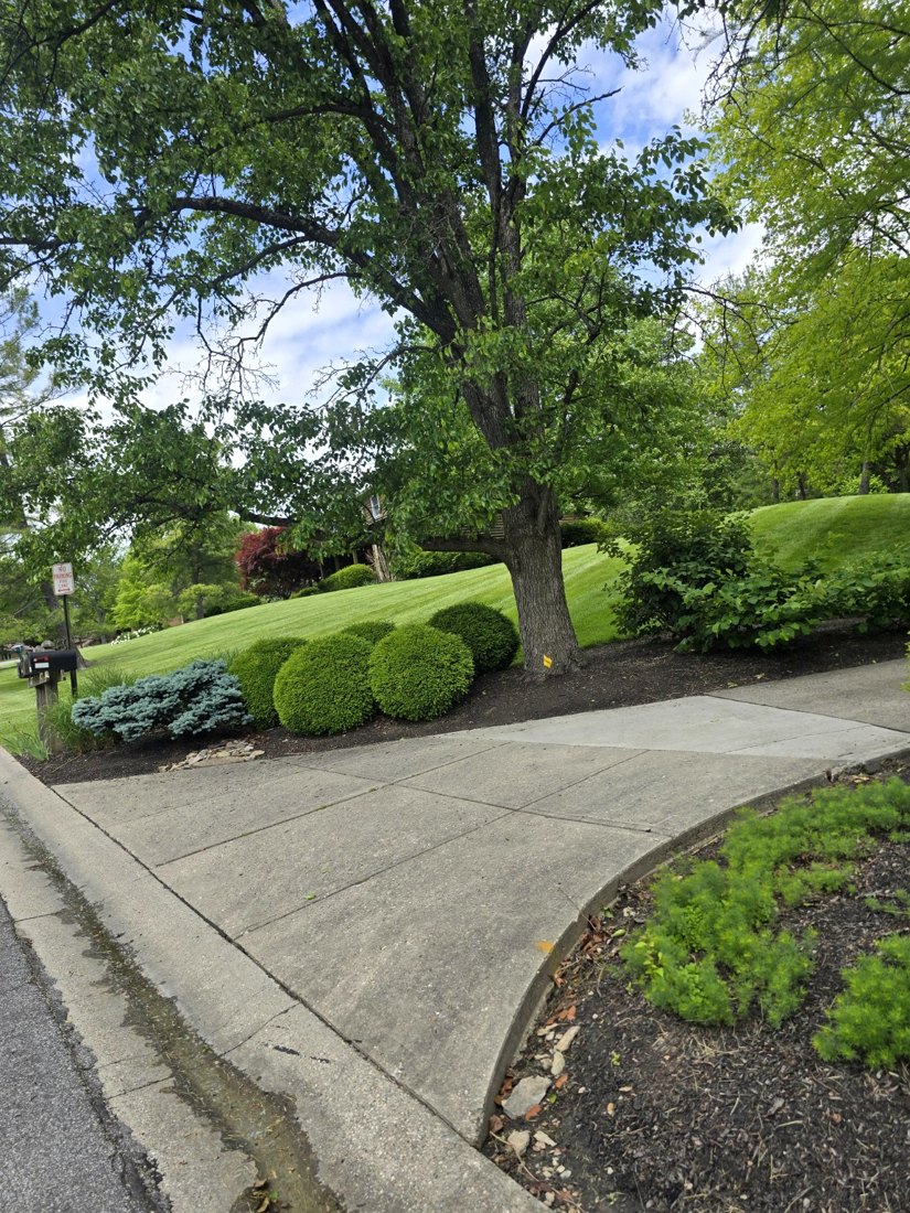 Mulch and bed installation
