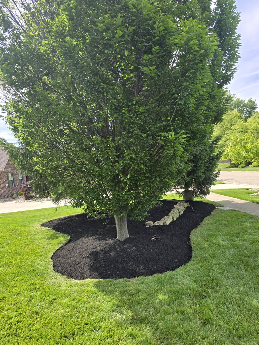 Mulch installation and landscape beds
