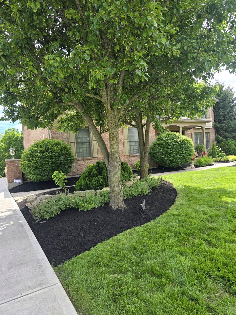 Landscape design and edging