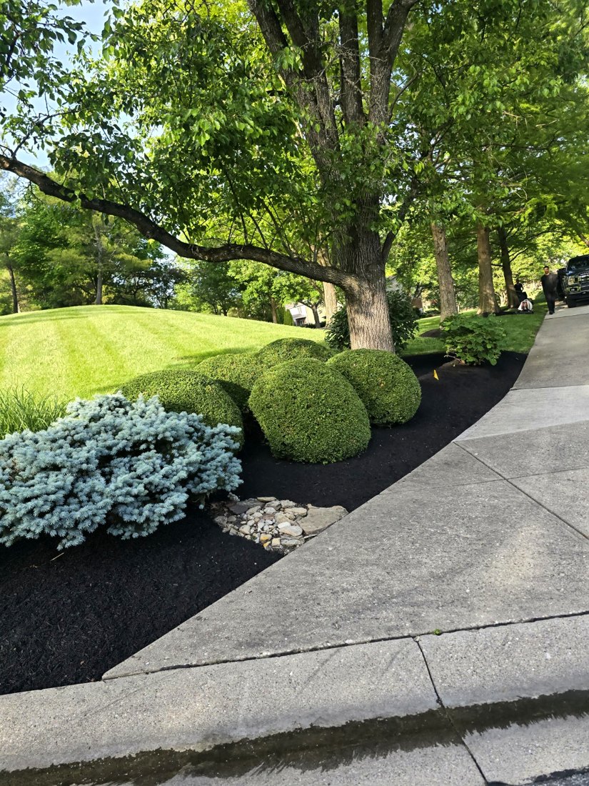 Property cleanup and debris removal